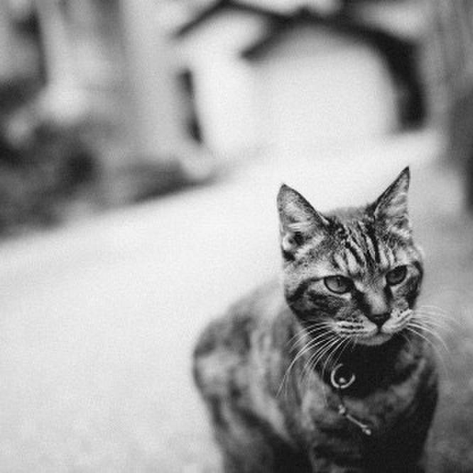 025743ce 484a 48a5 a0b7 8e3e87f8e78a