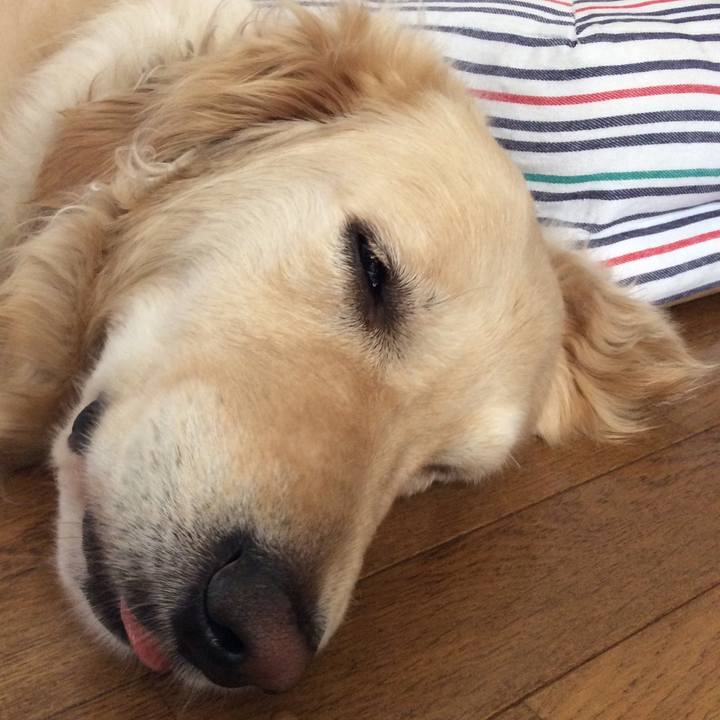 0257b6a8 8dd1 40aa 861c 5cc9569ad2c3