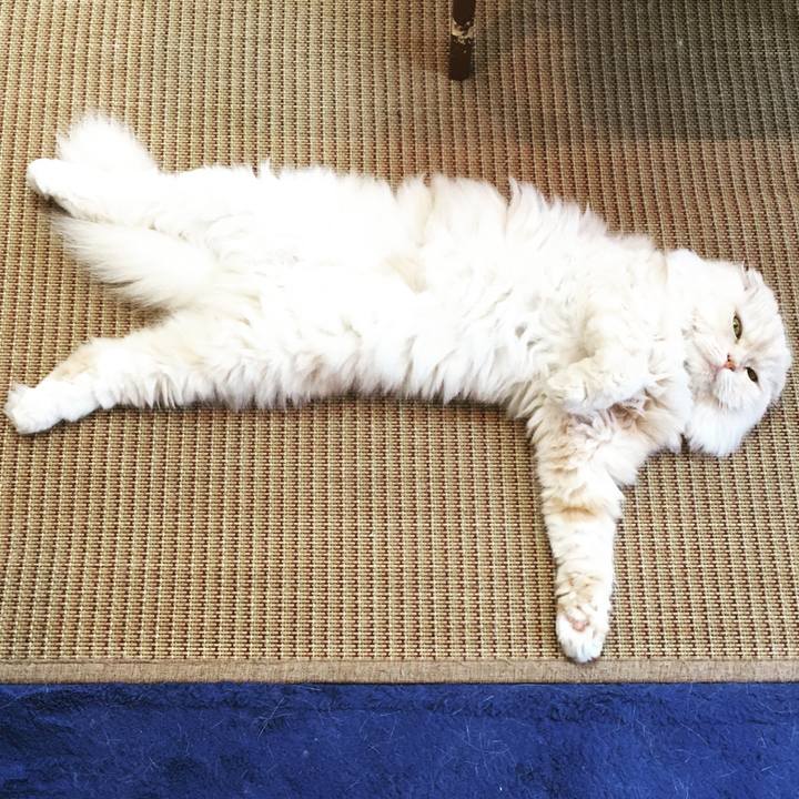 0257e83a 923f 4235 91ce a218640c027b