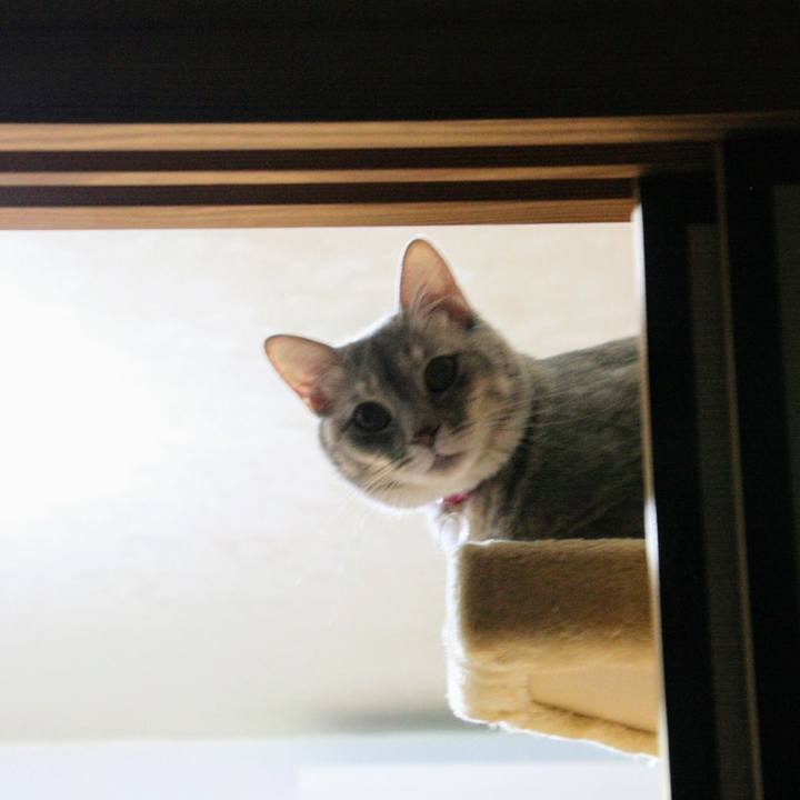 02582e07 8604 4b7d 8b58 6c28c0ad8379