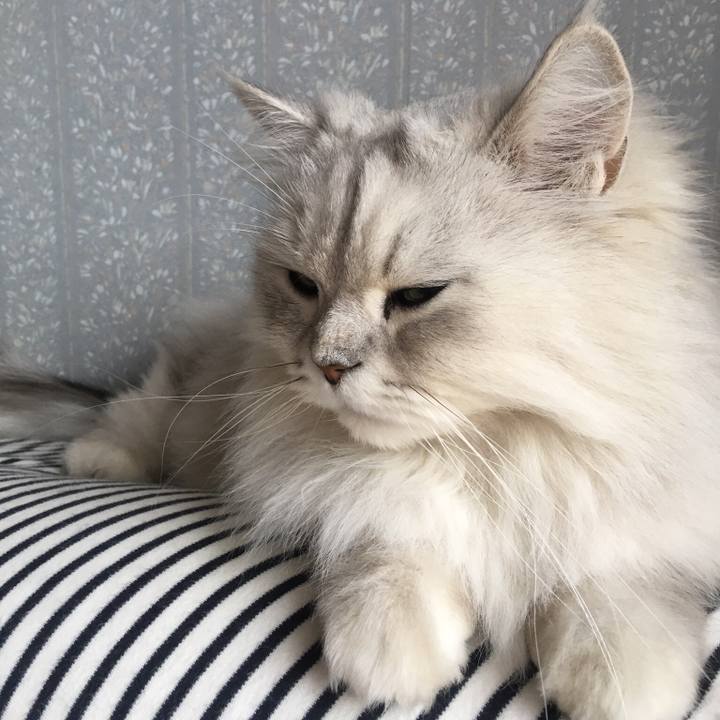 02584280 478a 4327 8e41 ffd792ff5a8e