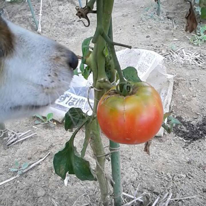 0258662a d61e 4a40 a6b2 618be09b35d8