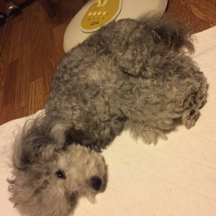 02587f60 5eb4 4fdb a0e9 2dd6b3ac7b6a