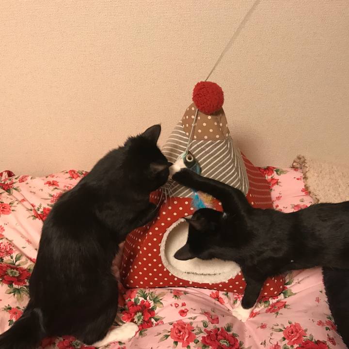 02595e35 b625 449b 8e97 11a7de740228