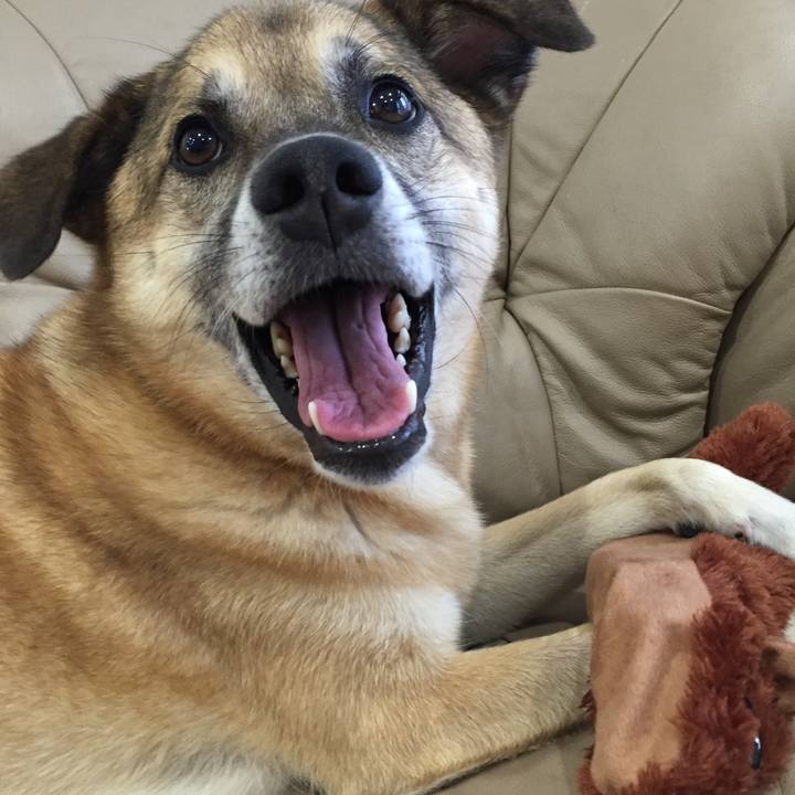 025972f4 0b3f 42a0 89f8 76f6438ae9d0