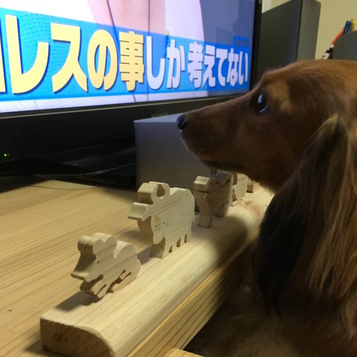 0259a0fe a707 455f b7d0 a80e46170036