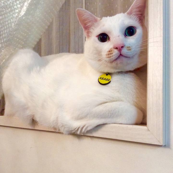 0259b0c7 9901 4511 b976 cd7819aa969c