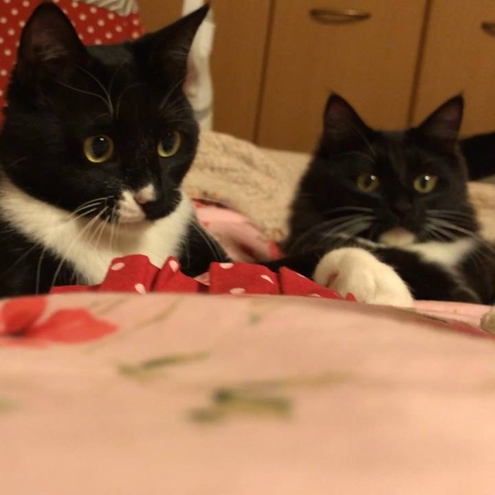 0259dc0e 2fe8 42e0 a447 f2267dfb5df8