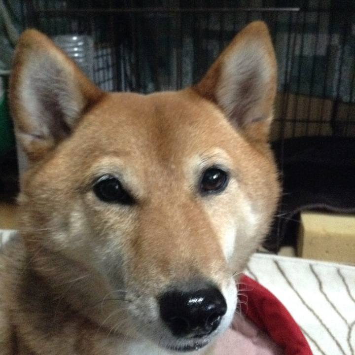 025b760e bb33 43ae a7a8 0341c32228dd