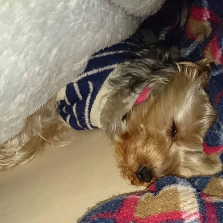 025bf09a c450 40fd b3e2 96625d2a048d