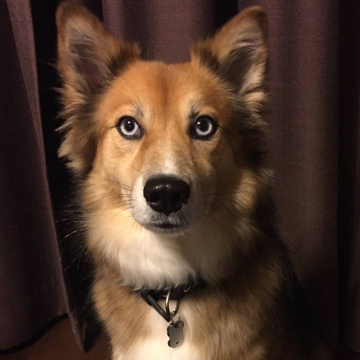 025c0fdd d625 447a be44 e29590a1018c