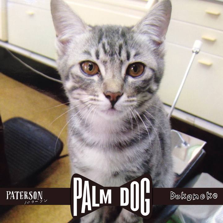 025c6102 6524 427a 9d5c 6bdbc62cab49