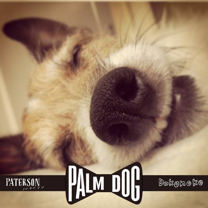 025c8be6 6a6c 467a b0a0 ca1b47024d6a