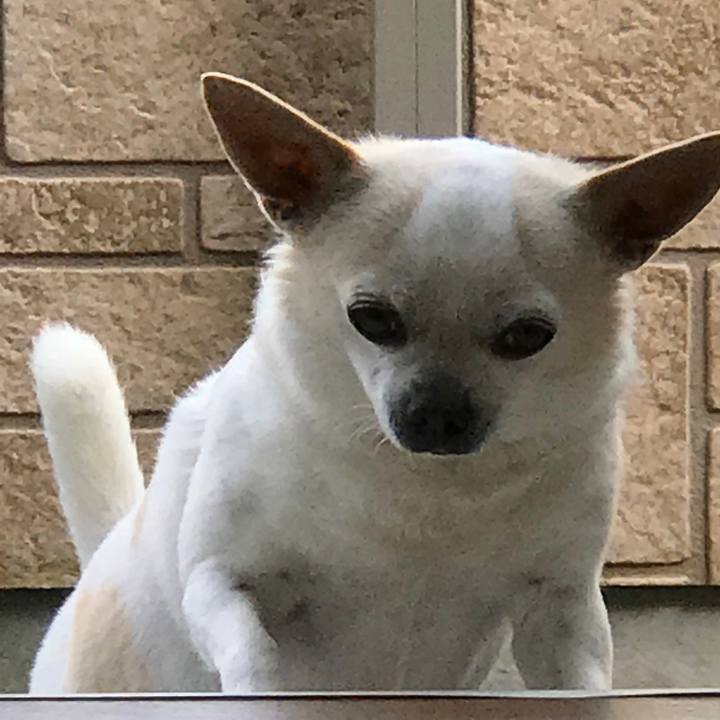 025c9eeb fe6e 4b58 bd8a 9f53e6cea0e6