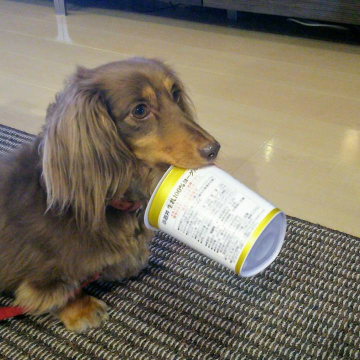 025cb411 ebe4 40b3 8b68 e8fa2fdbdf1b