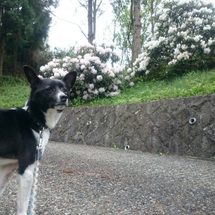 025cb708 0c4a 4ade af04 40fbbdb35a56