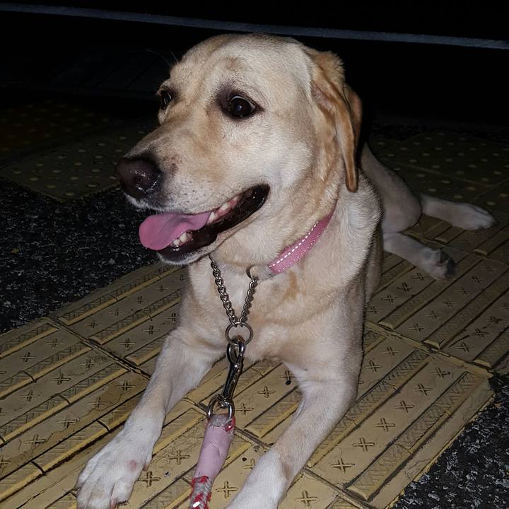 025d45c8 6235 4ccb 9f41 55a413b93748