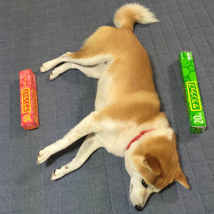 025d4d16 183c 4271 9d8c ac3737e4dfc1