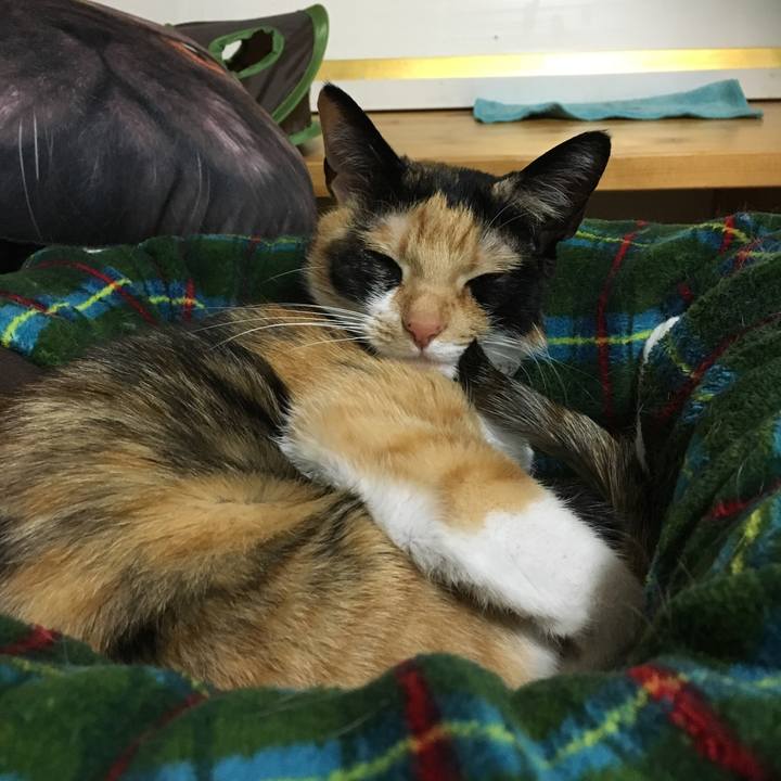 025da84a d248 48a2 a024 dd5d29a1c71d