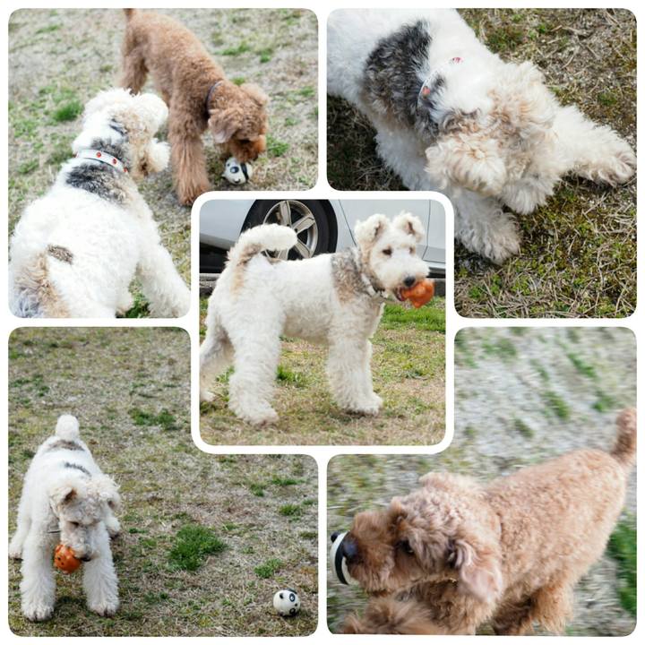 025dae67 3d48 4e2b b88c 74abc5eec530