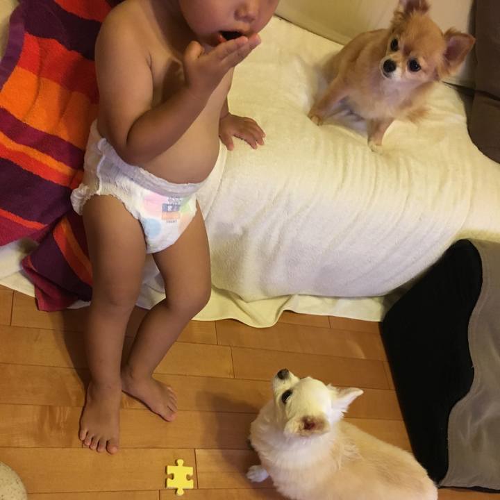 025e4c51 fa48 4e29 b9d8 f759e71ecfab