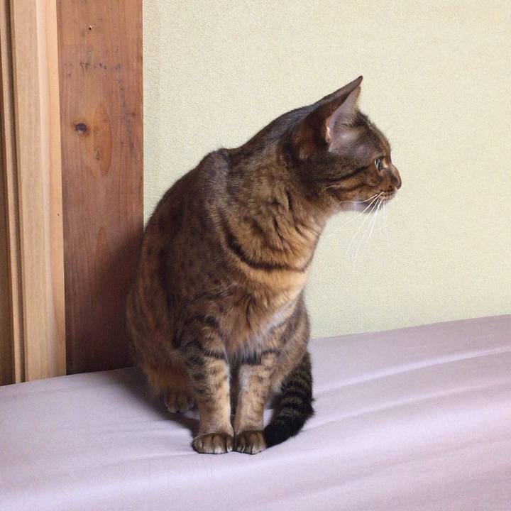 025e5562 7673 4200 8e54 97864e900bd9