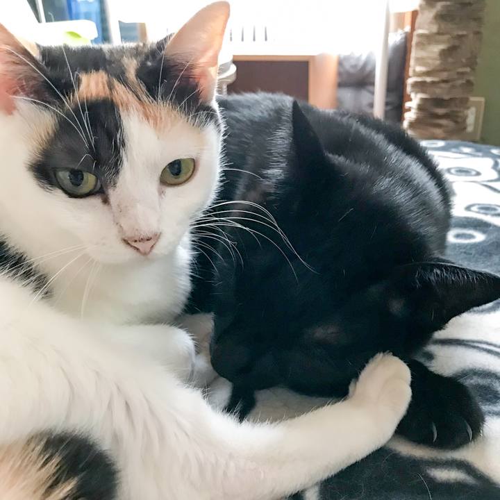 025e65b4 2367 48a6 b828 00aae4f3540b