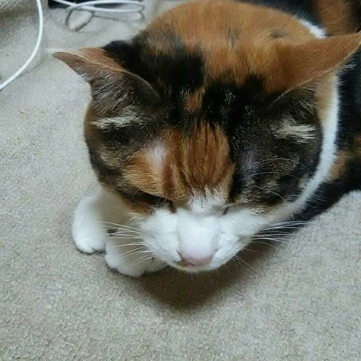 025e9e8a 4807 476f 905a d3c0e38f9bbd