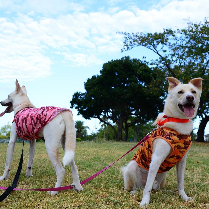 025ec167 f045 4242 81b1 17ccc4491d8b