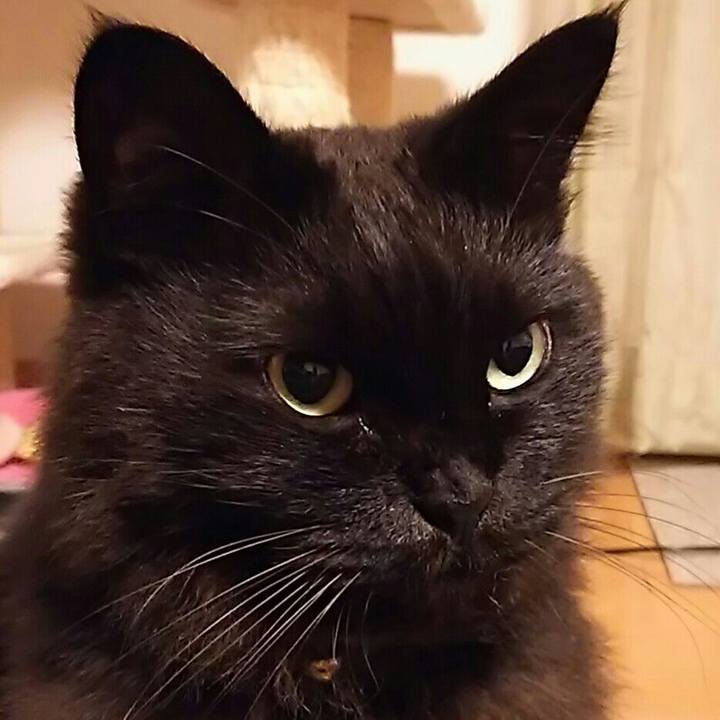 025eeccf b52d 41b1 9d8e da6ce16991b5