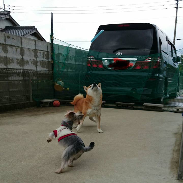 025fb664 3641 4e94 b20f 476bcc19d605