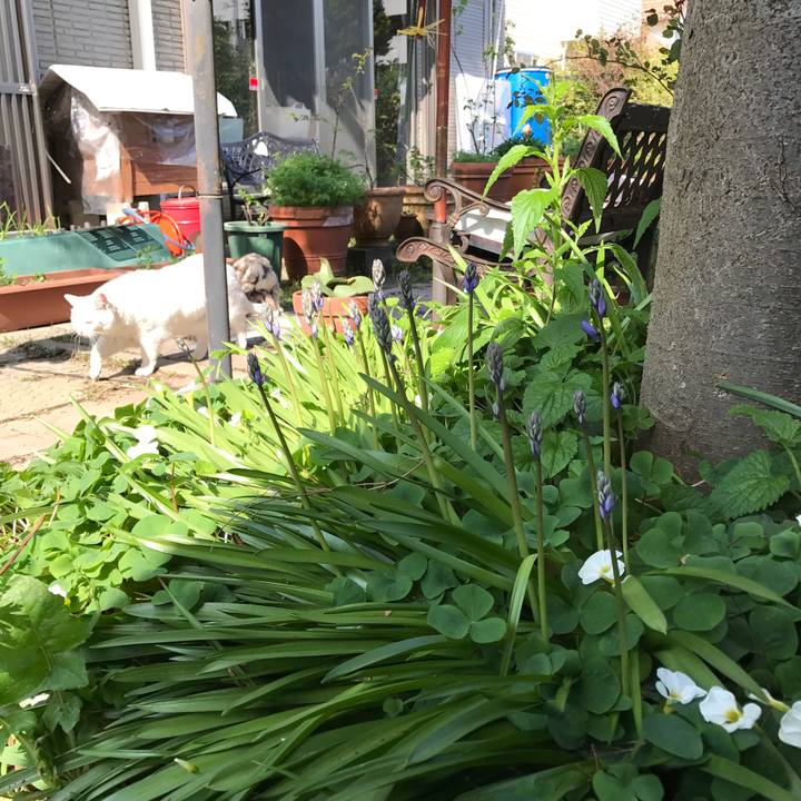 02609e09 22f0 4253 872d 897f8b5172e8