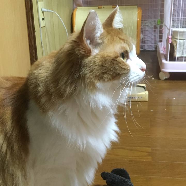 0260f492 1c28 4140 96fd c39102473cbe