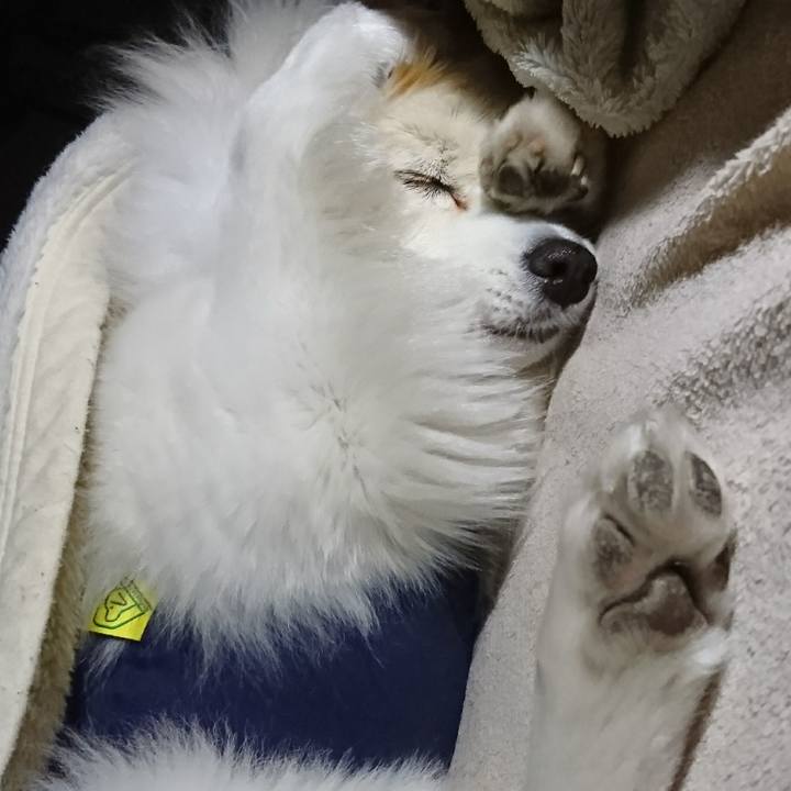 02610ef1 abd4 48f1 b7de f437aea016a6