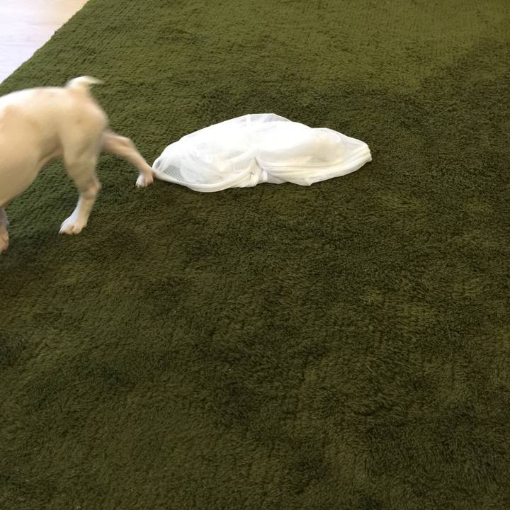 02618ebb 0058 40fe 90f5 b0c237ed57f3