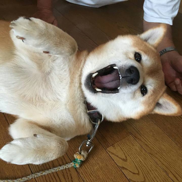 02619d78 9440 43a0 919a d6d6a428cdc0