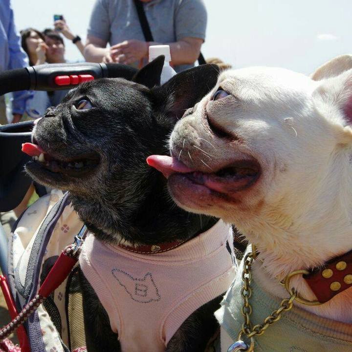 026256ab c4af 4c21 9f58 d33cf23f7a40