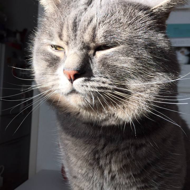 0262f8e0 1992 4b4a 9ab2 2e0990439eda