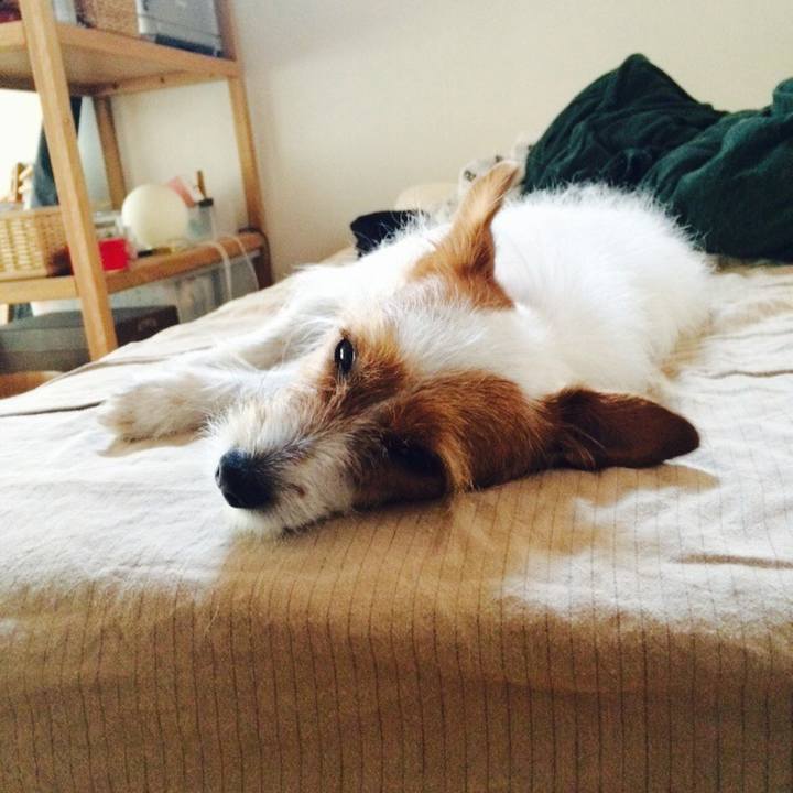 0262fc24 ba71 46ef 9424 a92ce9966d57