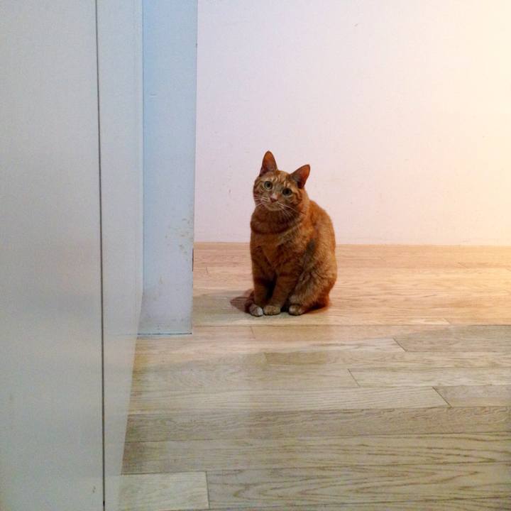 02630435 49d6 4f16 a3a8 02a8843a7bbf