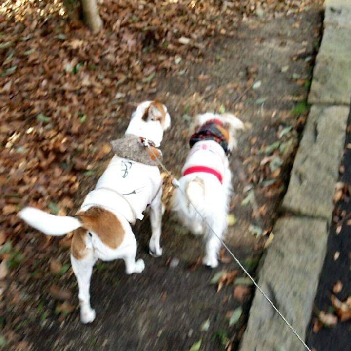 02641dd6 c0ce 4ea2 988b 50bda392359b