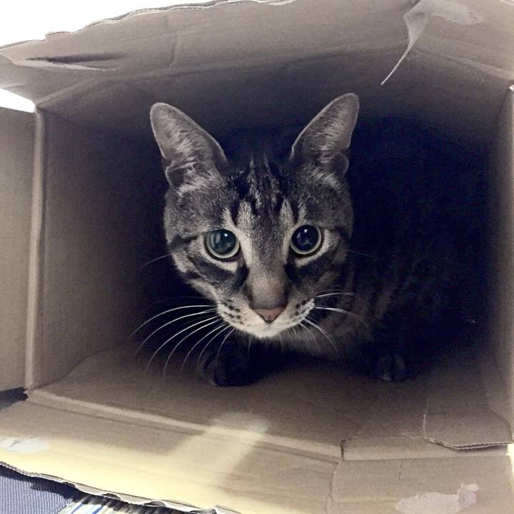 02642f85 651e 49b5 8b37 e0b395c4ca18