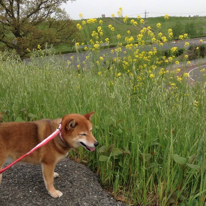 02646a0b e759 4c97 9078 c7985c762084