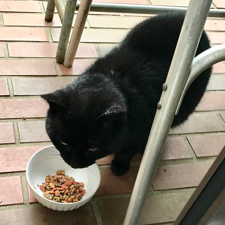 0264aa16 7428 4f0e 8db2 77fd41f736cf