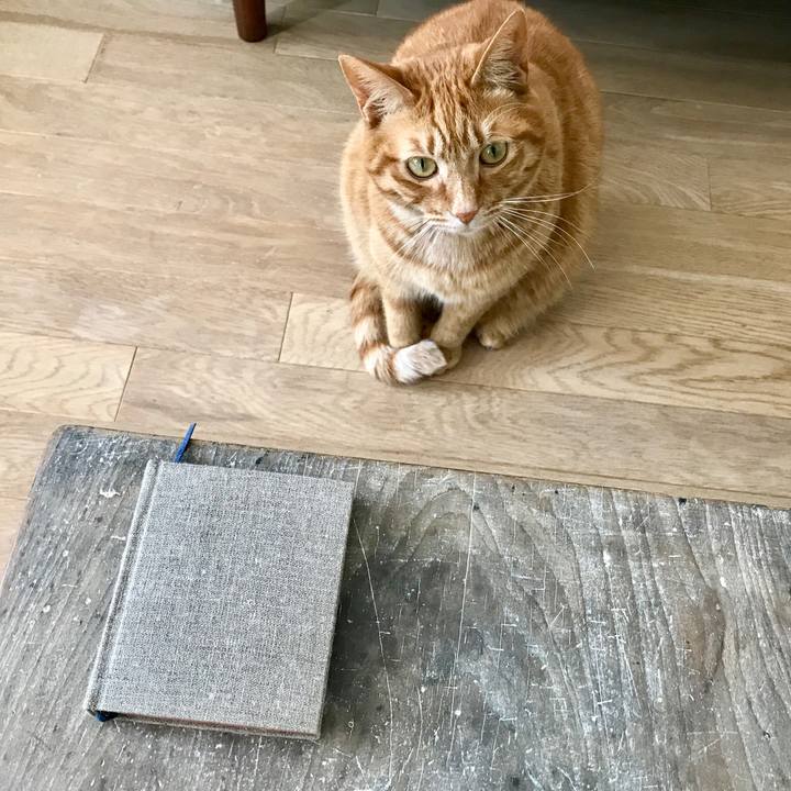 0264cfc8 6725 49b7 8735 90beb8d6d5bd