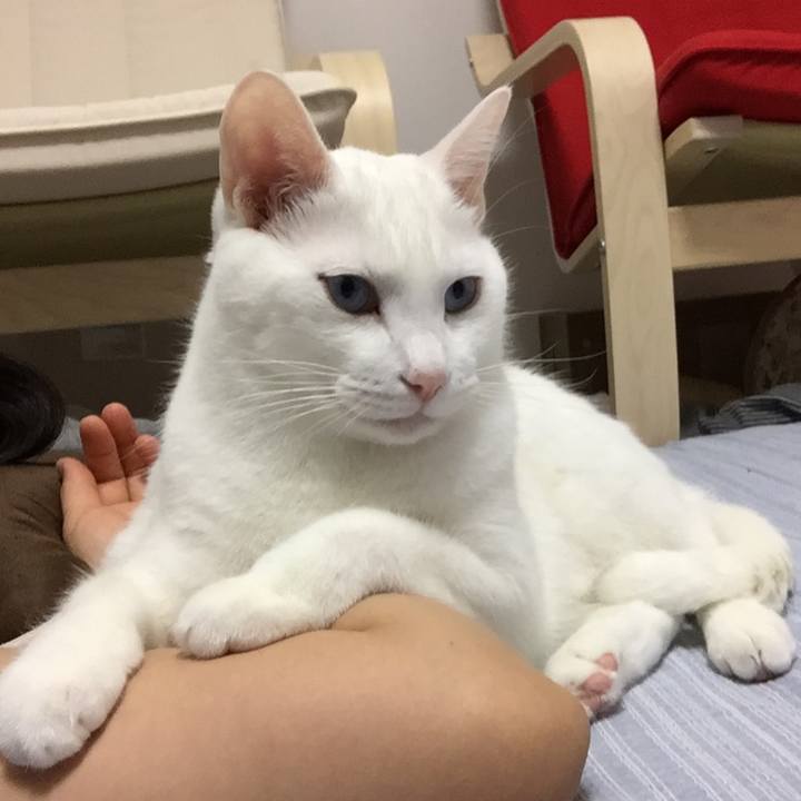 0265078d 12a2 4cd4 9f77 47d5e6f8d78f