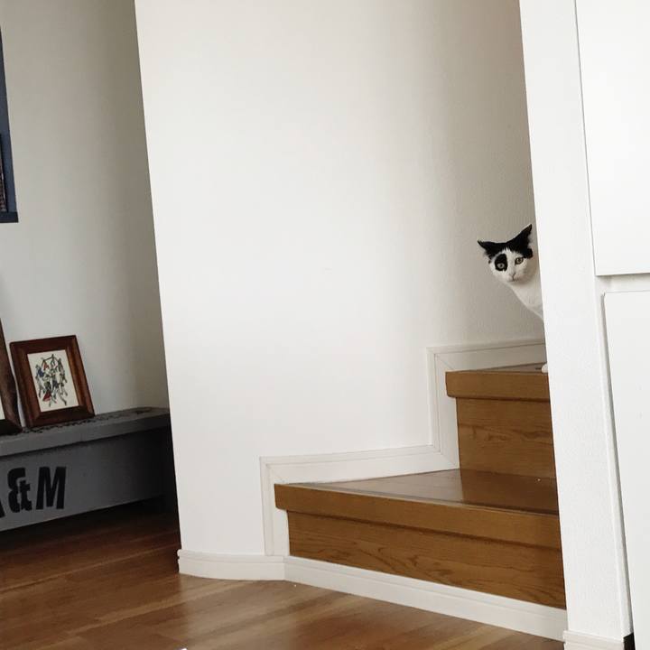 0265be0d d5d8 4c86 aca9 c6d3ac9cbed7