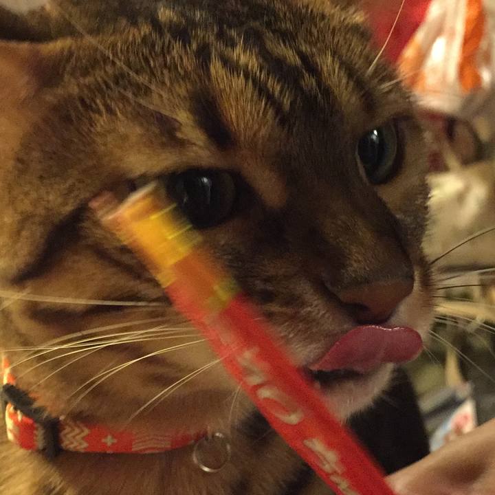 0265db50 2422 47fc bebc 5331a269b6a0