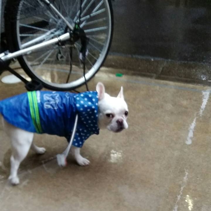 0265efcc 9370 433d a4e5 0b9d011c0ddc