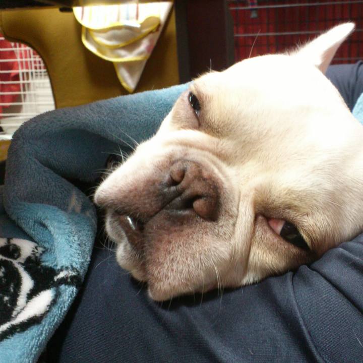 0267415b 9821 4c2b a881 d8f1bcdfab10